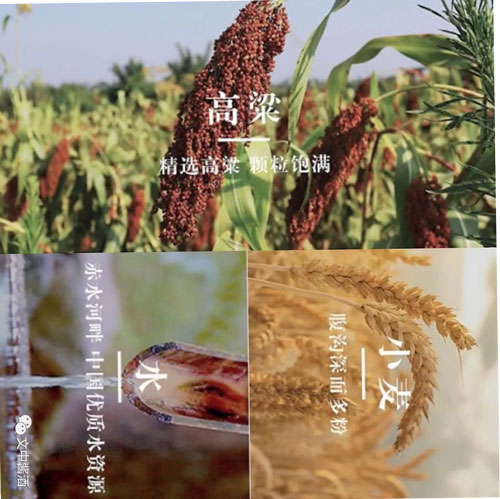 醬酒行業(yè)大揭秘！