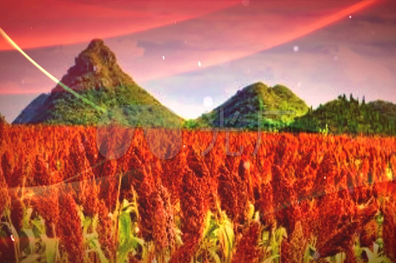 什么是坤沙、碎沙、翻沙、大紅糧、小紅糧？