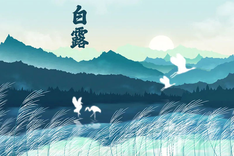 【白露節(jié)氣】露從今夜白，秋風至此涼